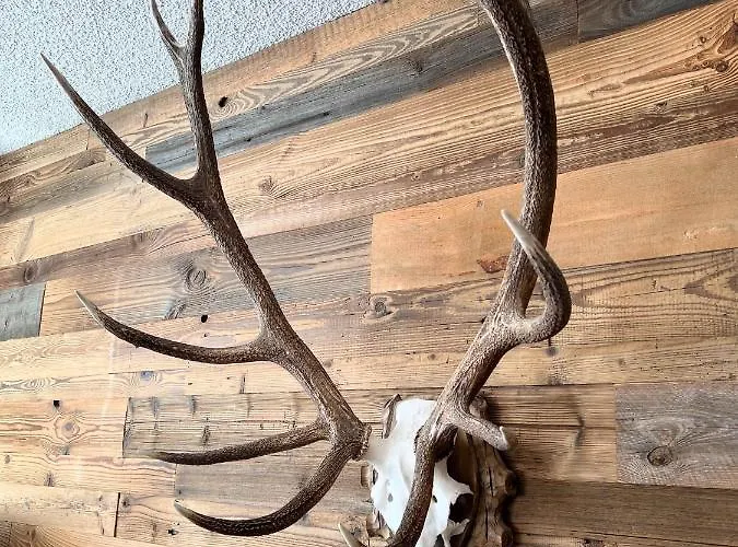 דירה Casa Tschierva דאבוס